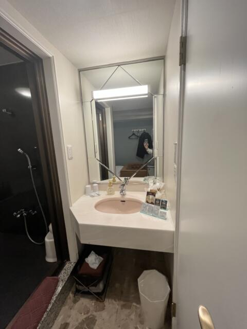 HOTEL Bless（ブレス)(新宿区/ラブホテル)の写真『202号室　洗面台』by 無法松
