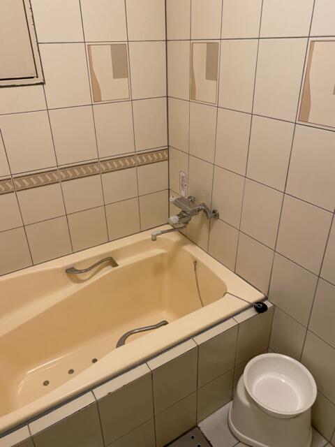 HOTEL R&N（レストアンドネスト）(蕨市/ラブホテル)の写真『202号室(浴室左手前から)』by こねほ