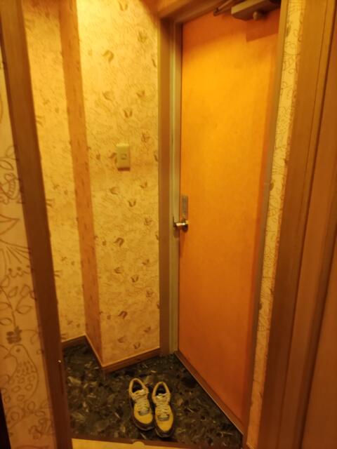 ホテル ワールド(豊島区/ラブホテル)の写真『503号室　玄関』by じんだいじ