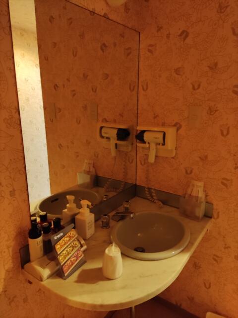 ホテル ワールド(豊島区/ラブホテル)の写真『503号室 鏡』by じんだいじ