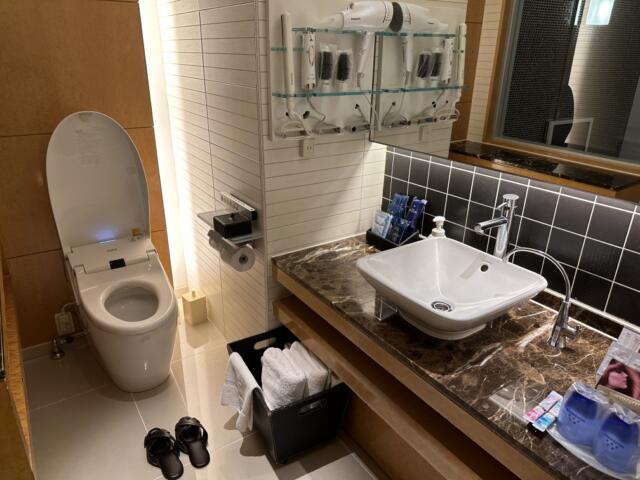 アペルト(豊島区/ラブホテル)の写真『606号室トイレ及び洗面台』by miffy.GTI