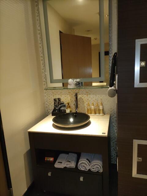 HOTEL Villa Senmei(ヴィラ センメイ）(大田区/ラブホテル)の写真『406号室　洗面台』by ルドルフ