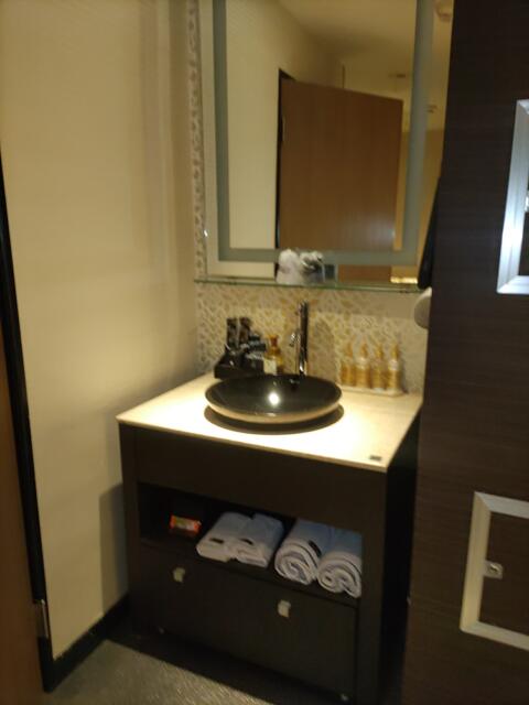 HOTEL Villa Senmei(ヴィラ センメイ）(大田区/ラブホテル)の写真『406号室　洗面台』by ルドルフ