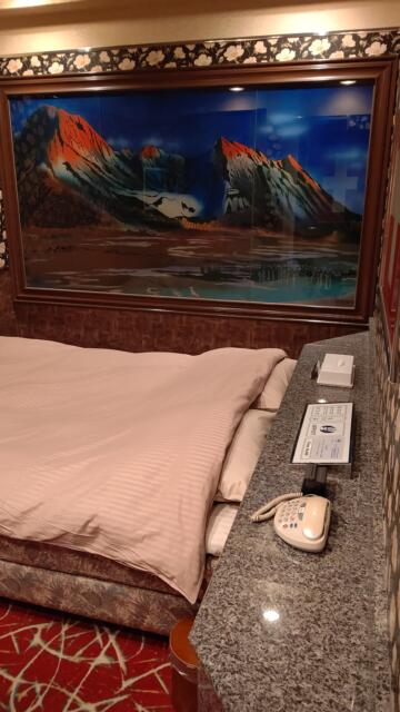ホテル エアポート(豊島区/ラブホテル)の写真『205号室、絵画「アルプス山脈」』by Sparkle
