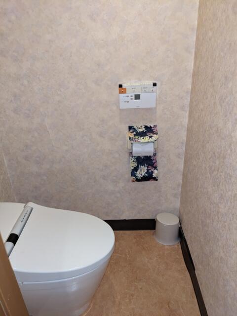 ホテル ファイン(浜松市/ラブホテル)の写真『207号室（トイレ1/3）』by マーシ