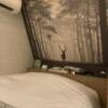 HOTEL EXE ANNEX(エグゼ アネックス)(台東区/ラブホテル)の写真『306号室　ベッド④』by hireidenton