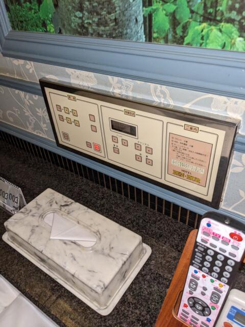 ホテル ベンハー(浜松市/ラブホテル)の写真『２０６号室（ヘッドボードの証明パネル等）』by マーシ