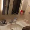 HOTEL Diana (ダイアナ)(台東区/ラブホテル)の写真『331号室　洗面所』by かーたー