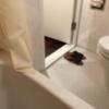 HOTEL ZHIPAGO (ジパゴ)(品川区/ラブホテル)の写真『203号室 浴室(ユニットバス)』by ACB48