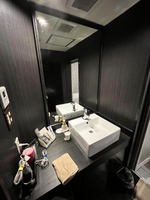 HOTEL GRANDE(川口市/ラブホテル)の写真『503号室 洗面所』by ayase