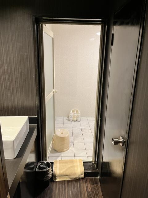 HOTEL GRANDE(川口市/ラブホテル)の写真『503号室 洗面所、浴室入り口』by ayase