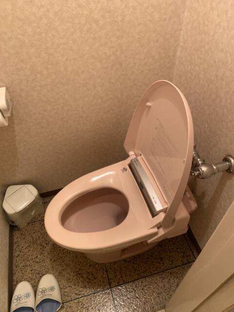 ニューアリス(大田区/ラブホテル)の写真『302号室　トイレ（蓋オープン時）』by 東京都