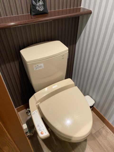 Dispa Resort(ディスパリゾート)(横浜市中区/ラブホテル)の写真『502号室(トイレ)』by こねほ