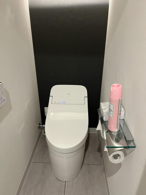 HOTEL Blanche（ブランシュ）(渋谷区/ラブホテル)の写真『402号室　トイレ』by INA69
