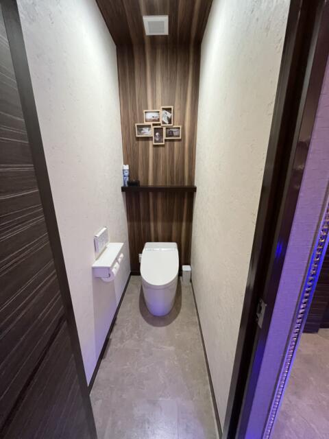 HOTEL AMAN(アマン)(浜松市/ラブホテル)の写真『204号室　トイレ』by ま〜も〜る〜