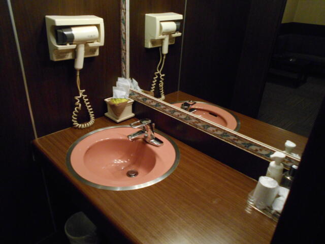キャメルイン(立川市/ラブホテル)の写真『215号室、洗面台』by もんが～