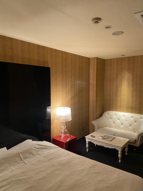 WANDOO(ワンドゥ)(相模原市/ラブホテル)の写真『208号室(左奥から手前)』by こねほ