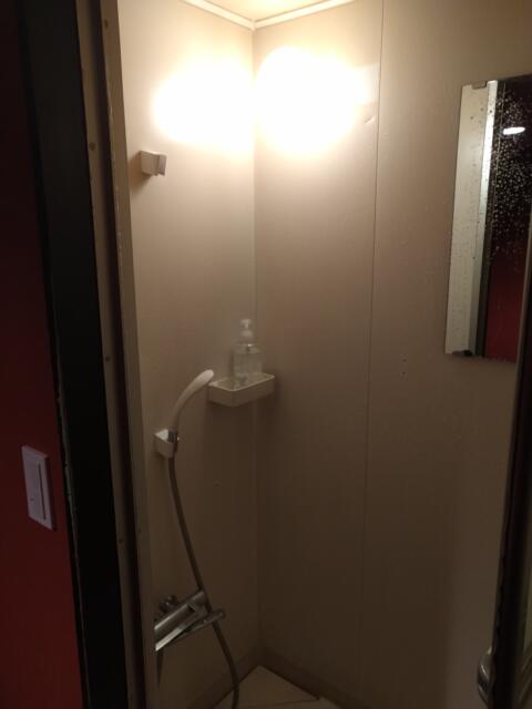 レンタルルーム フィジー(新宿区/ラブホテル)の写真『5号室（シャワー）』by ＪＷ