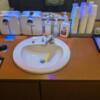 レンタルルーム　アーバナイト(港区/ラブホテル)の写真『共同トイレ。水回りきれいにしてます。』by まっつんつん