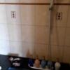 ホテルワンリッツ(戸田市/ラブホテル)の写真『611号室、内風呂のシャワーなど』by 春風拳