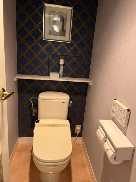 Secret Veny (シークレットベニー)(墨田区/ラブホテル)の写真『401号室　トイレ』by INA69