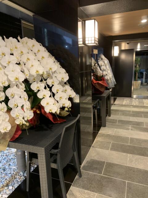 HOTEL OPERA (オペラ)(新宿区/ラブホテル)の写真『新しいようで、フロント行くまでの廊下には胡蝶蘭』by ゆうじい