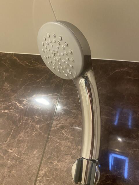 HOTEL GRANSKY（グランスカイ）(墨田区/ラブホテル)の写真『408号室(浴室シャワーヘッド)』by こねほ