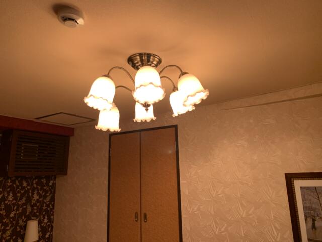 ホテル アテネ(柏市/ラブホテル)の写真『313号室　シーリングライト』by 東京都