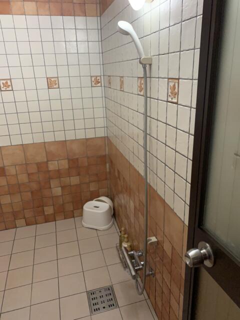 ホテル アテネ(柏市/ラブホテル)の写真『313号室　浴室シャワー』by 東京都