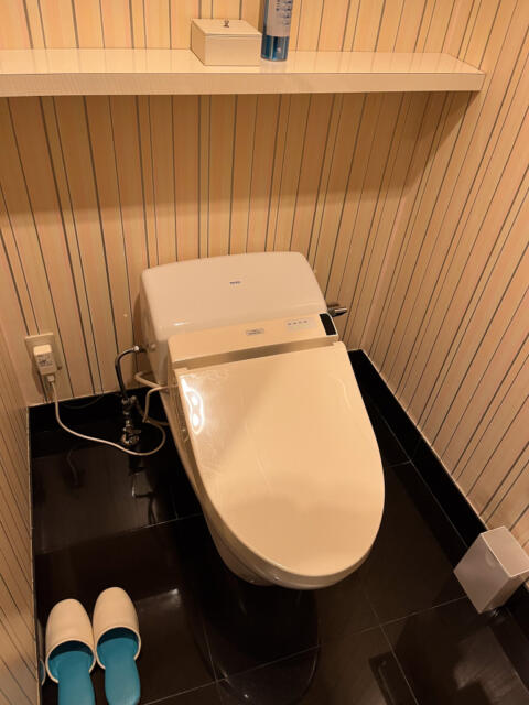 HOTEL RAY FIELD(墨田区/ラブホテル)の写真『301号室　トイレ』by INA69
