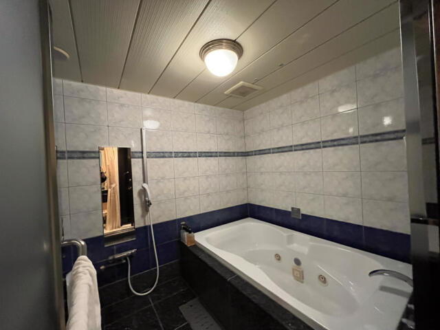 HOTEL RAY FIELD(墨田区/ラブホテル)の写真『301号室　浴室全景』by INA69