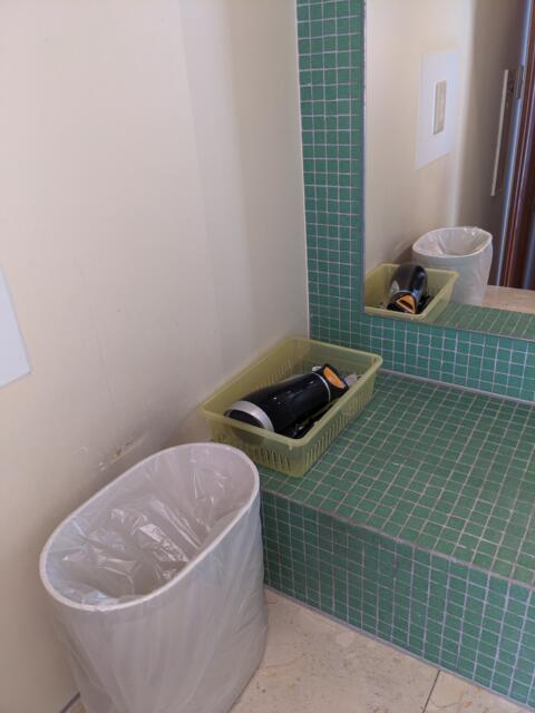 ホテル ア・パッション(浜松市/ラブホテル)の写真『２０号室（メインの洗面台のドライヤー）』by マーシ