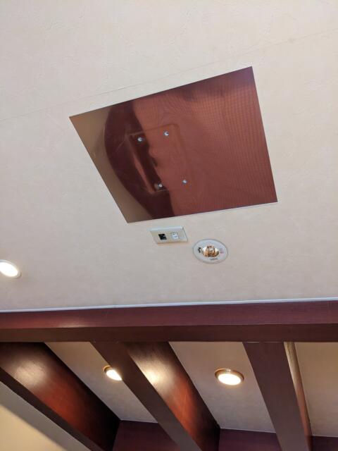 ホテル ア・パッション(浜松市/ラブホテル)の写真『２０号室（天井を撮影、プロジェクターが設置されていた）』by マーシ