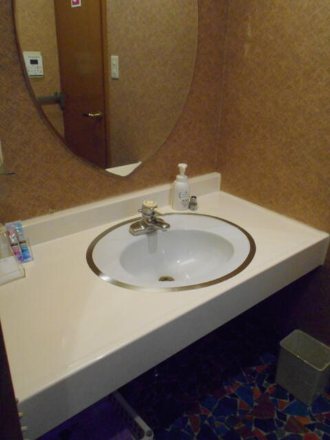 ホテル アーカス(立川市/ラブホテル)の写真『305号室、洗面所』by もんが～