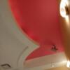 オリオン(新宿区/ラブホテル)の写真『401号室　天井の装飾が独特』by 市