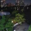 HOTEL PASHA GRAN（パシャグラン）(台東区/ラブホテル)の写真『703号室　窓からの上野公園(夜景)』by マーケンワン