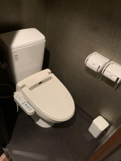 ホテル ピュア・アジアン(墨田区/ラブホテル)の写真『401号室　トイレ』by 東京都