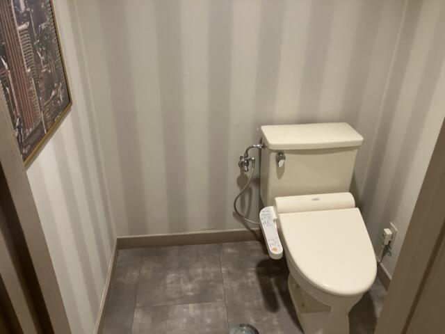 ホテル ボニータ相模原(相模原市/ラブホテル)の写真『201号室　トイレ』by KAMUY