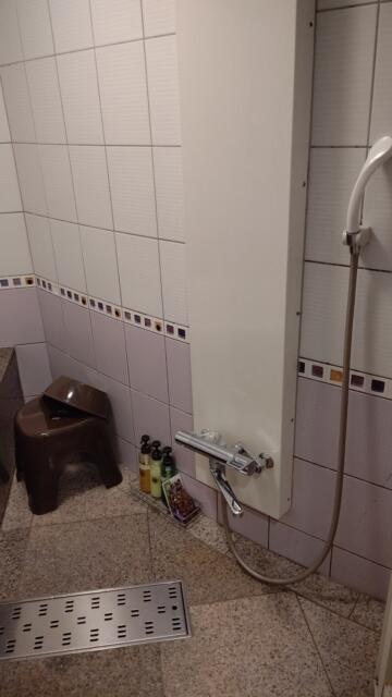 ホテルViVi(相模原市/ラブホテル)の写真『301号室、シャワーと洗い場』by Sparkle