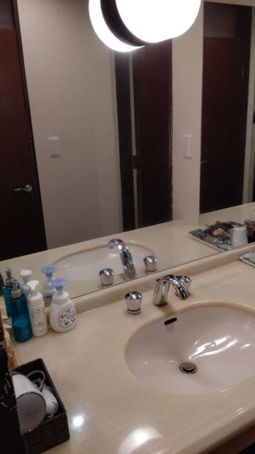 ホテルViVi(相模原市/ラブホテル)の写真『301号室、洗面台②』by Sparkle