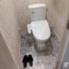 HOTEL P-DOOR（ホテルピードア）(台東区/ラブホテル)の写真『402号室　トイレその1』by HIRO5007