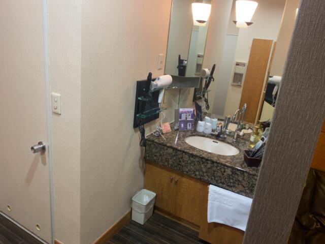 LION KINGS （ライオンキングス）(山形市/ラブホテル)の写真『210号室洗面』by Ｔすけ
