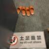 HOTEL Plaisir Akihabara(ホテルプレジール秋葉原)(千代田区/ラブホテル)の写真『202号室　玄関』by ヒロHIROヒロ