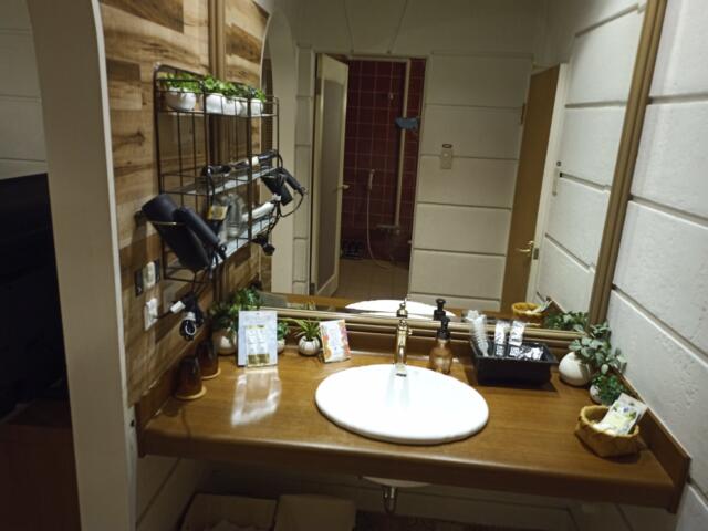 ホテルセッティングザシーン 栄(名古屋市中区/ラブホテル)の写真『203号室 洗面所』by タンスにゴンゴン