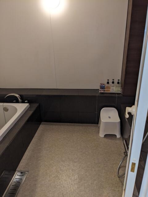 プリティホテル ChuChu(浜松市/ラブホテル)の写真『１１３号室（バスルーム　洗い場）』by マーシ