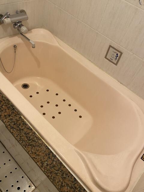 HOTEL R&N（レストアンドネスト）(蕨市/ラブホテル)の写真『208号室(浴室浴槽)』by こねほ
