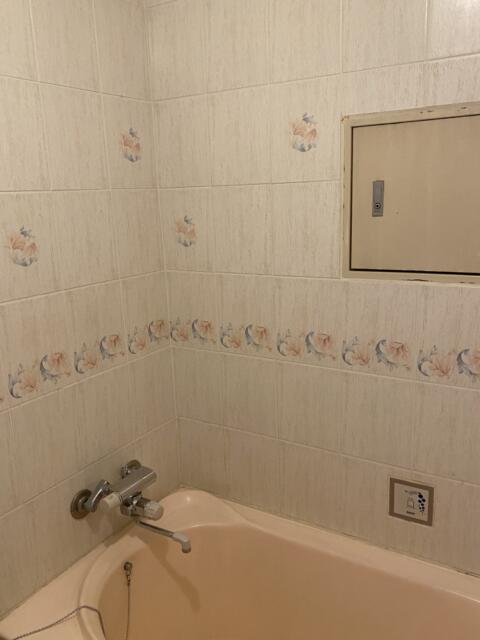 HOTEL R&N（レストアンドネスト）(蕨市/ラブホテル)の写真『208号室(浴室右手前から)』by こねほ