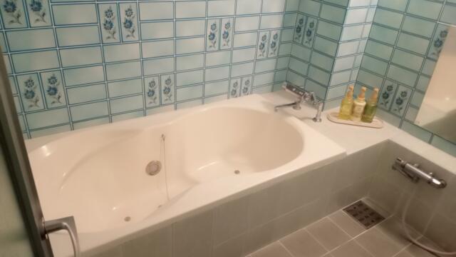 ドンキーズジャングル(千葉市中央区/ラブホテル)の写真『603号室　浴室　湯船は広めで二人で入れます』by K61