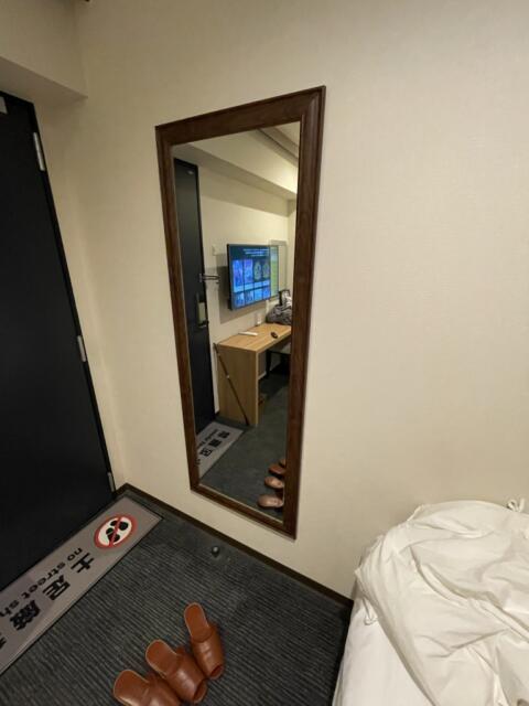 HOTEL Plaisir Akihabara(ホテルプレジール秋葉原)(千代田区/ラブホテル)の写真『202号室　姿見』by ヒロHIROヒロ