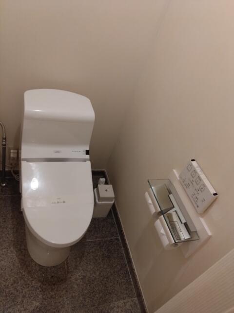 エルアンドエル大宮REVE(さいたま市北区/ラブホテル)の写真『304号室　トイレ』by beat takeshi